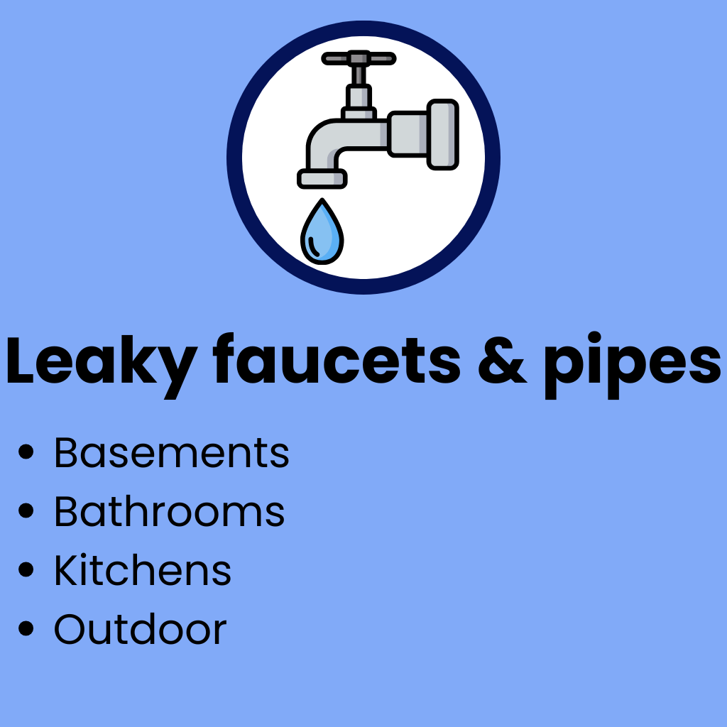 Leaky faucets & drains